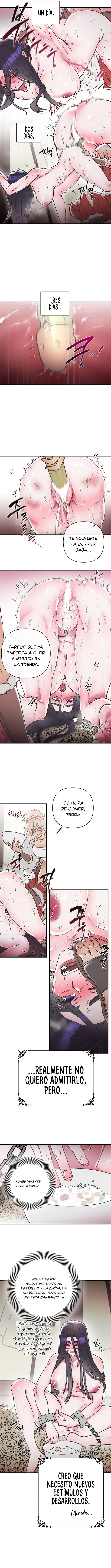 Imagen del capítulo 02